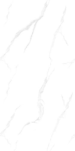 A12616-3