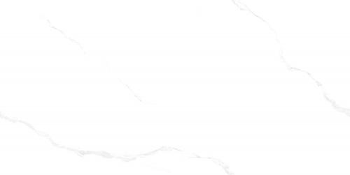 G-A4801