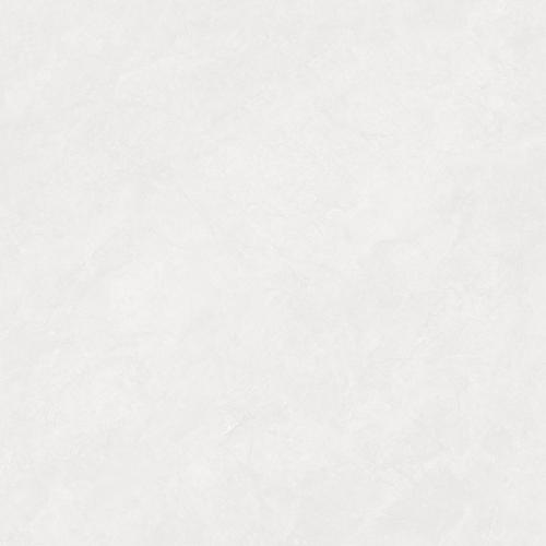 TM76253